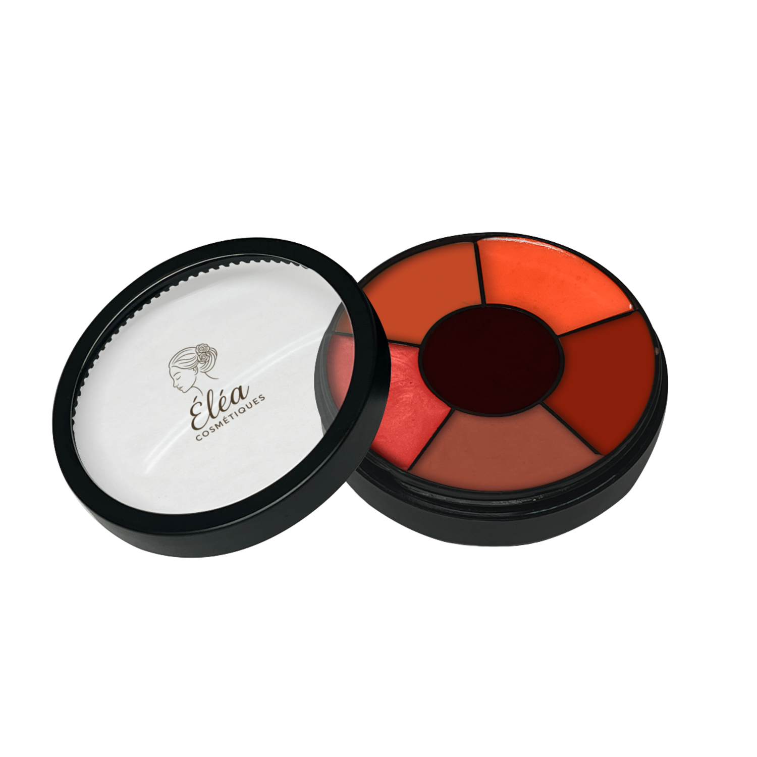 Coral Reef Wheel